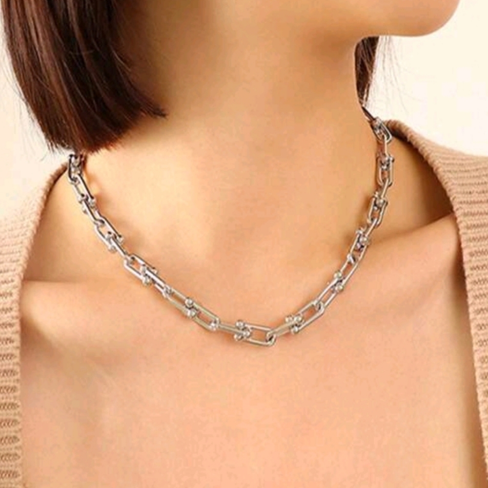 NEW Stainless Steel Horseshoe Link Necklace